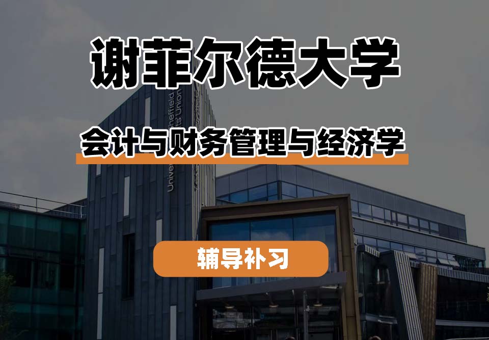 谢菲尔德大学TUoS谢大会计与财务管理与经济学辅导补习补课
