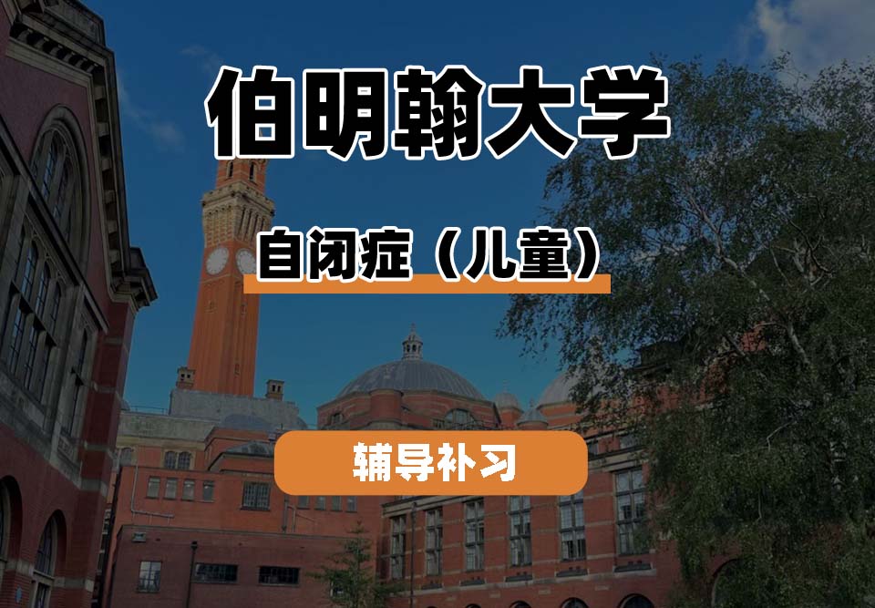 伯明翰大学UOB伯大自闭症(儿童)辅导补习补课