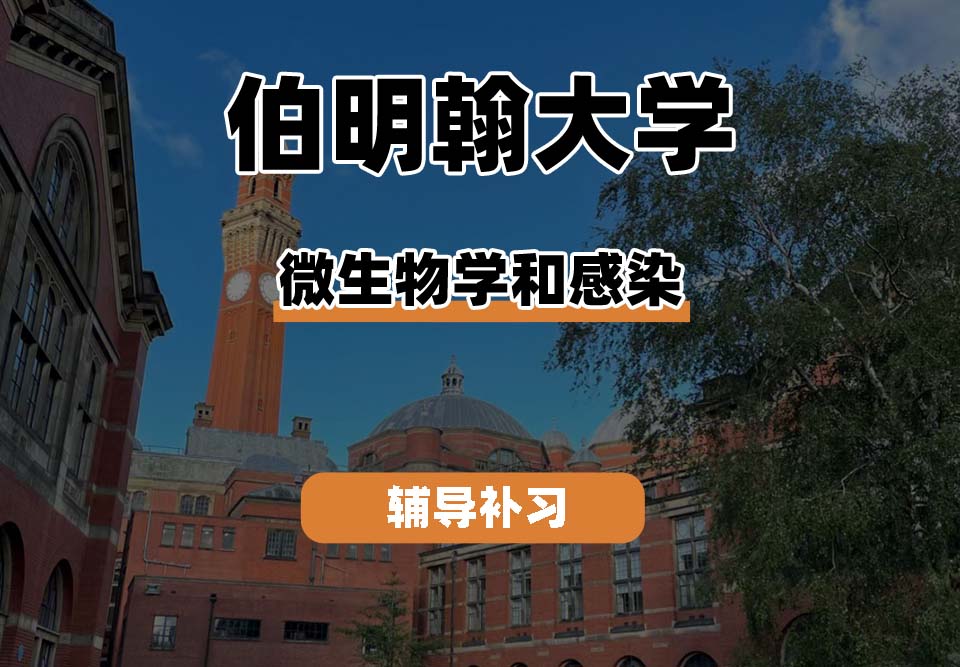 伯明翰大学UOB伯大微生物学和感染辅导补习补课