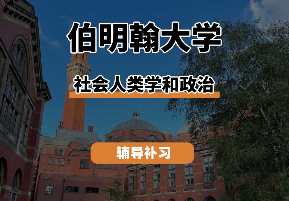 伯明翰大学UOB伯大社会人类学和政治专业辅导补习补课
