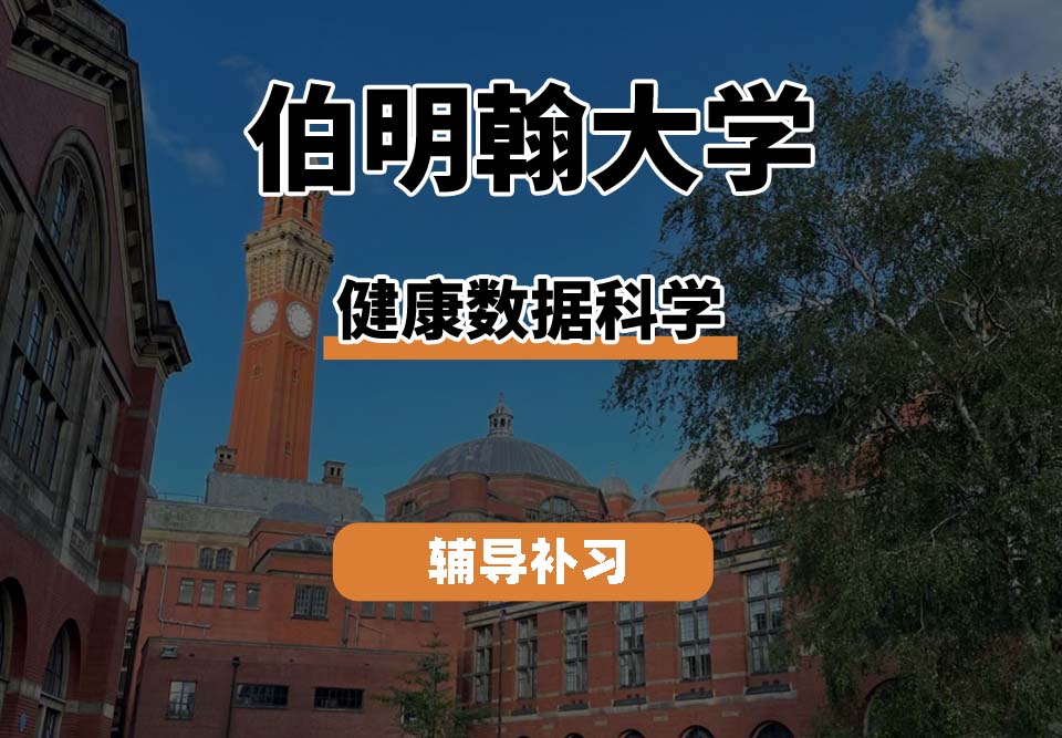 伯明翰大学UOB伯大健康数据科学辅导补习补课