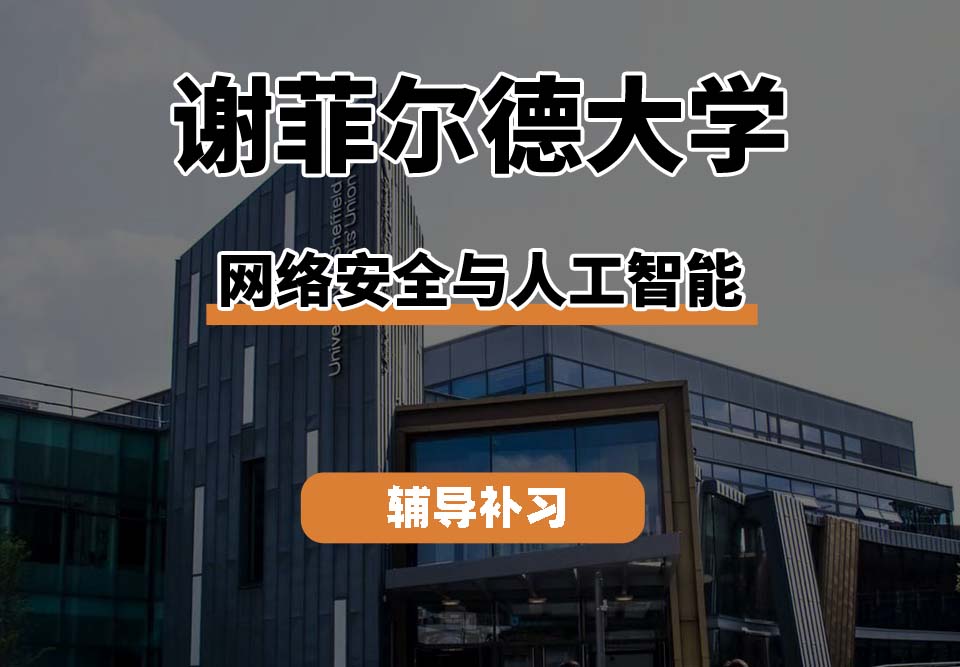 谢菲尔德大学TUoS谢大网络安全与人工智能辅导补习补课