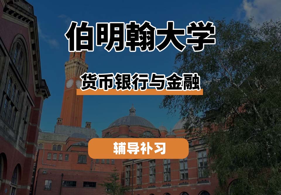 伯明翰大学UOB伯大货币银行与金融辅导补习补课