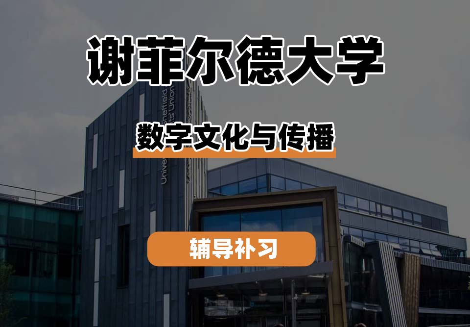 谢菲尔德大学TUoS谢大数字文化与传播辅导补习补课