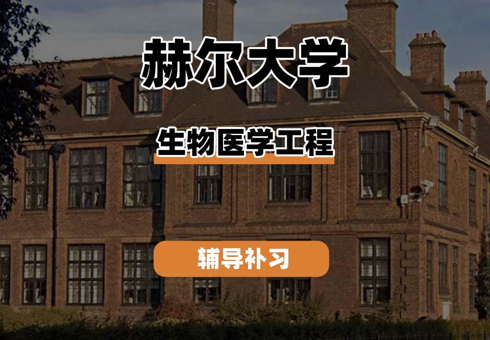 赫尔大学HULL生物医学工程专业辅导补习补课