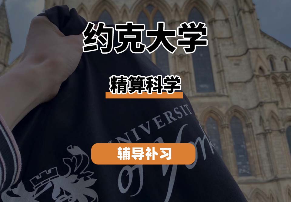 约克大学UOY精算科学辅导补习补课