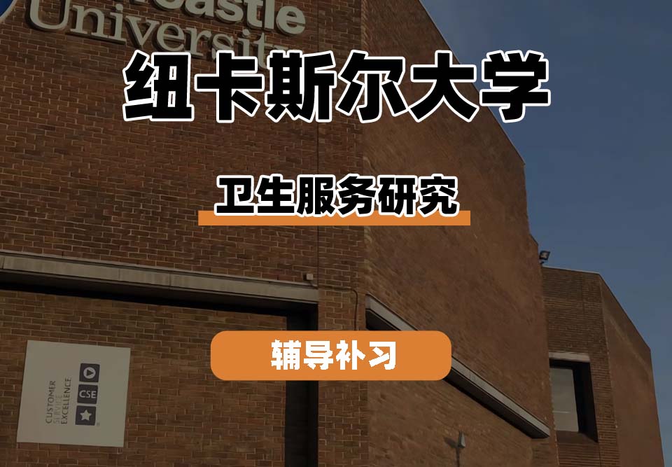 纽卡斯尔大学NCL纽大卫生服务研究辅导补习补课
