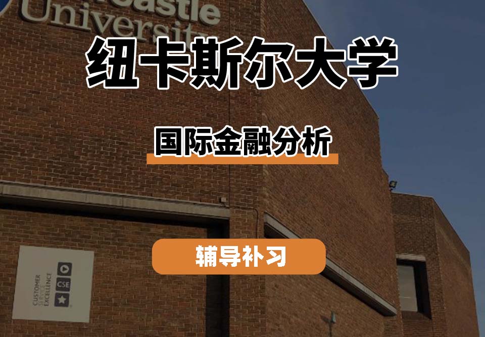 纽卡斯尔大学NCL纽大国际金融分析辅导补习补课