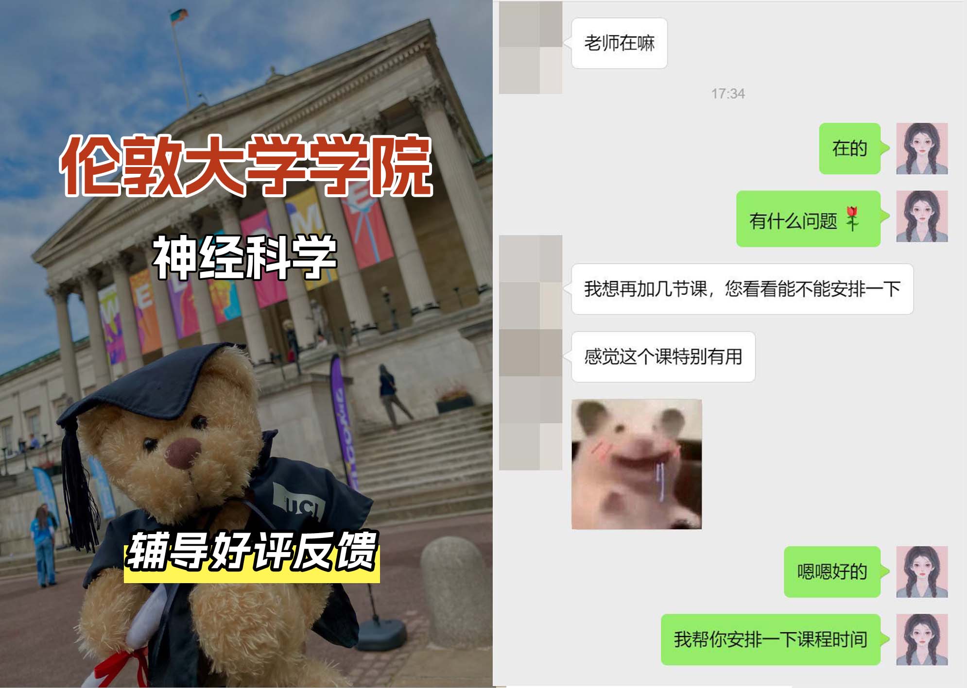 伦敦大学学院UCL神经科学专业辅导好评反馈