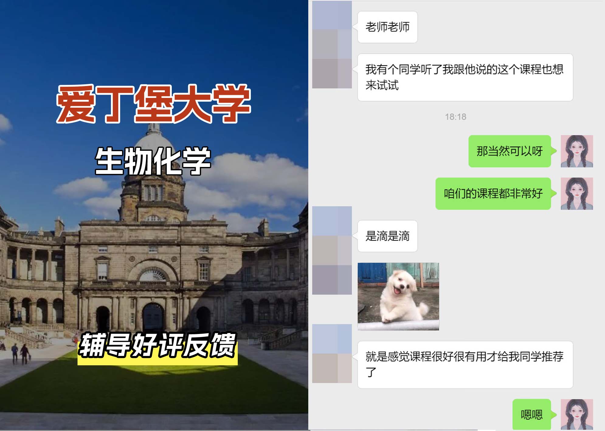 爱丁堡大学爱大生物化学辅导好评反馈