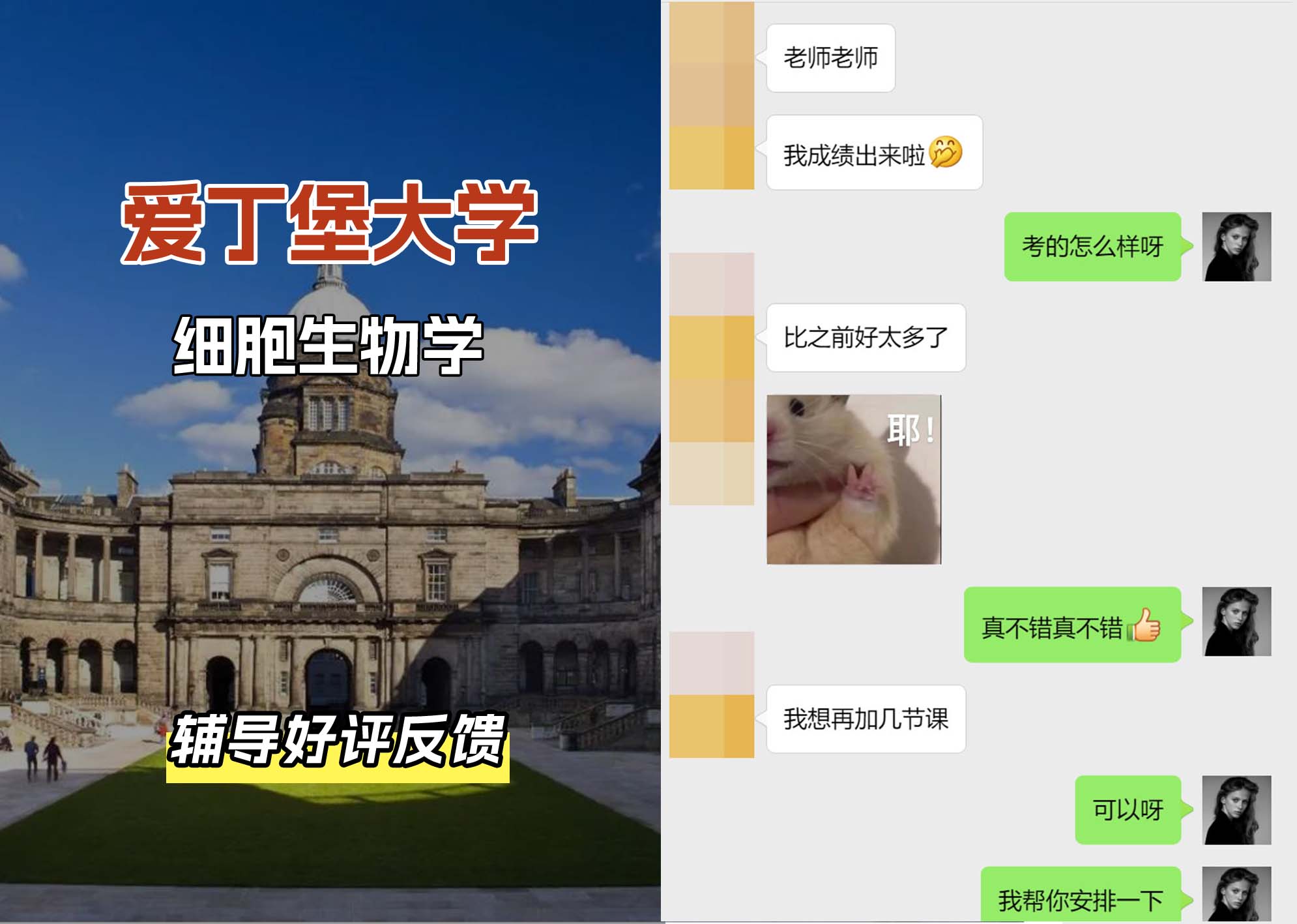 爱丁堡大学爱大细胞生物学辅导好评反馈