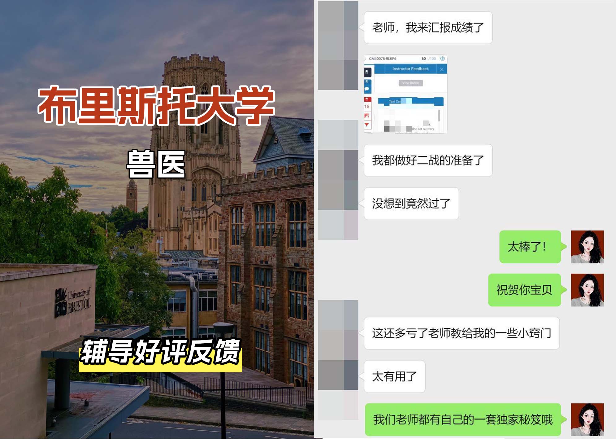 布里斯托大学布大兽医辅导好评反馈