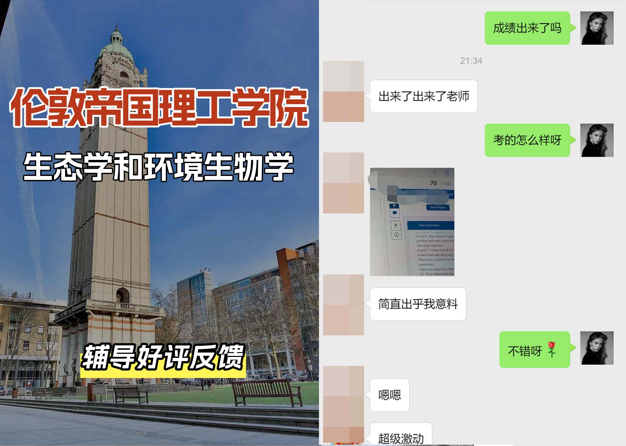 帝国理工IC生态学和环境生物学辅导好评反馈