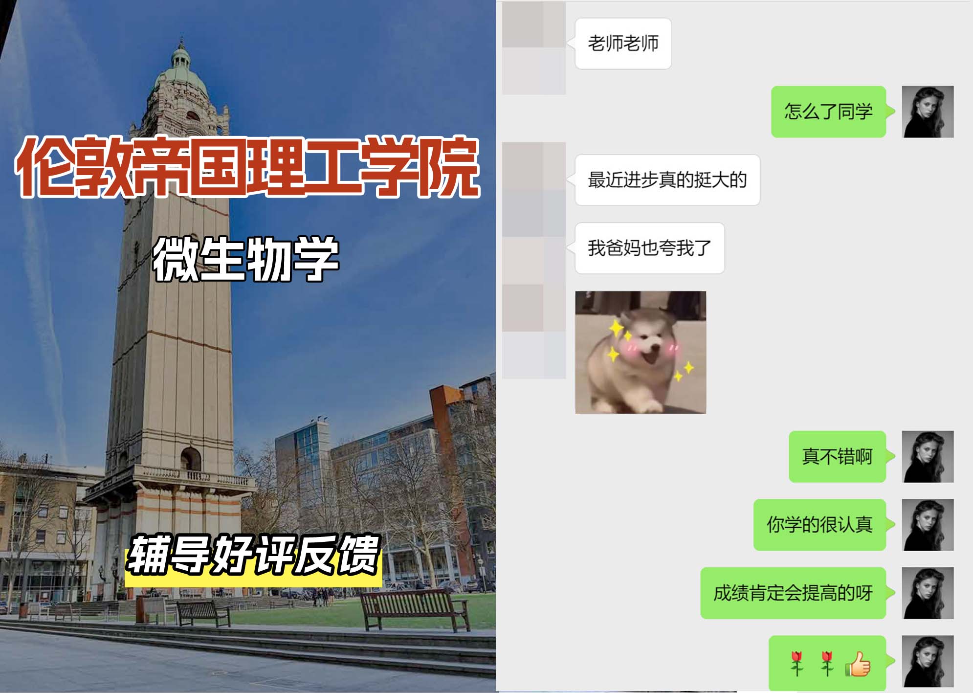 帝国理工IC微生物学辅导好评反馈