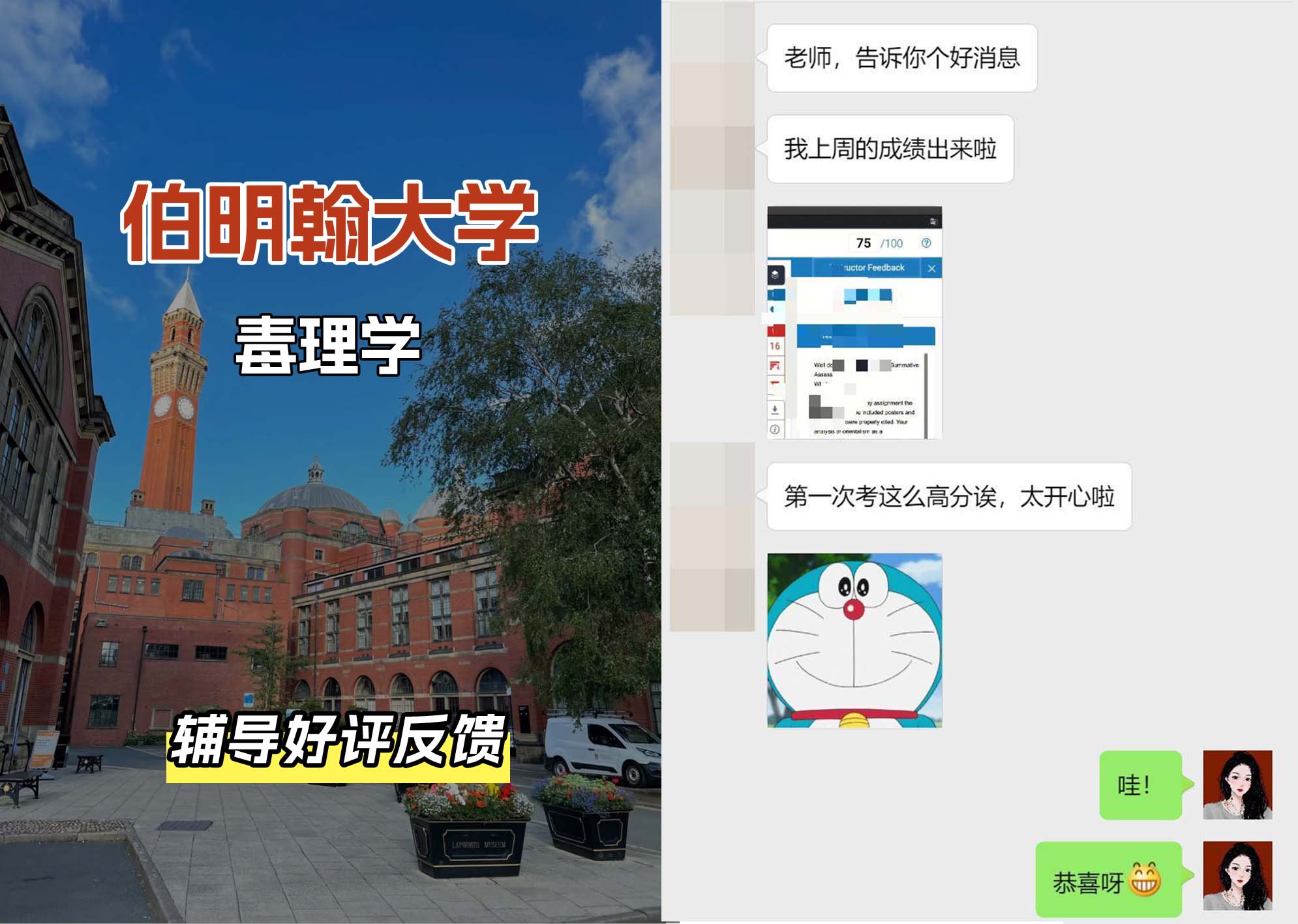 伯明翰大学伯大毒理学辅导好评反馈