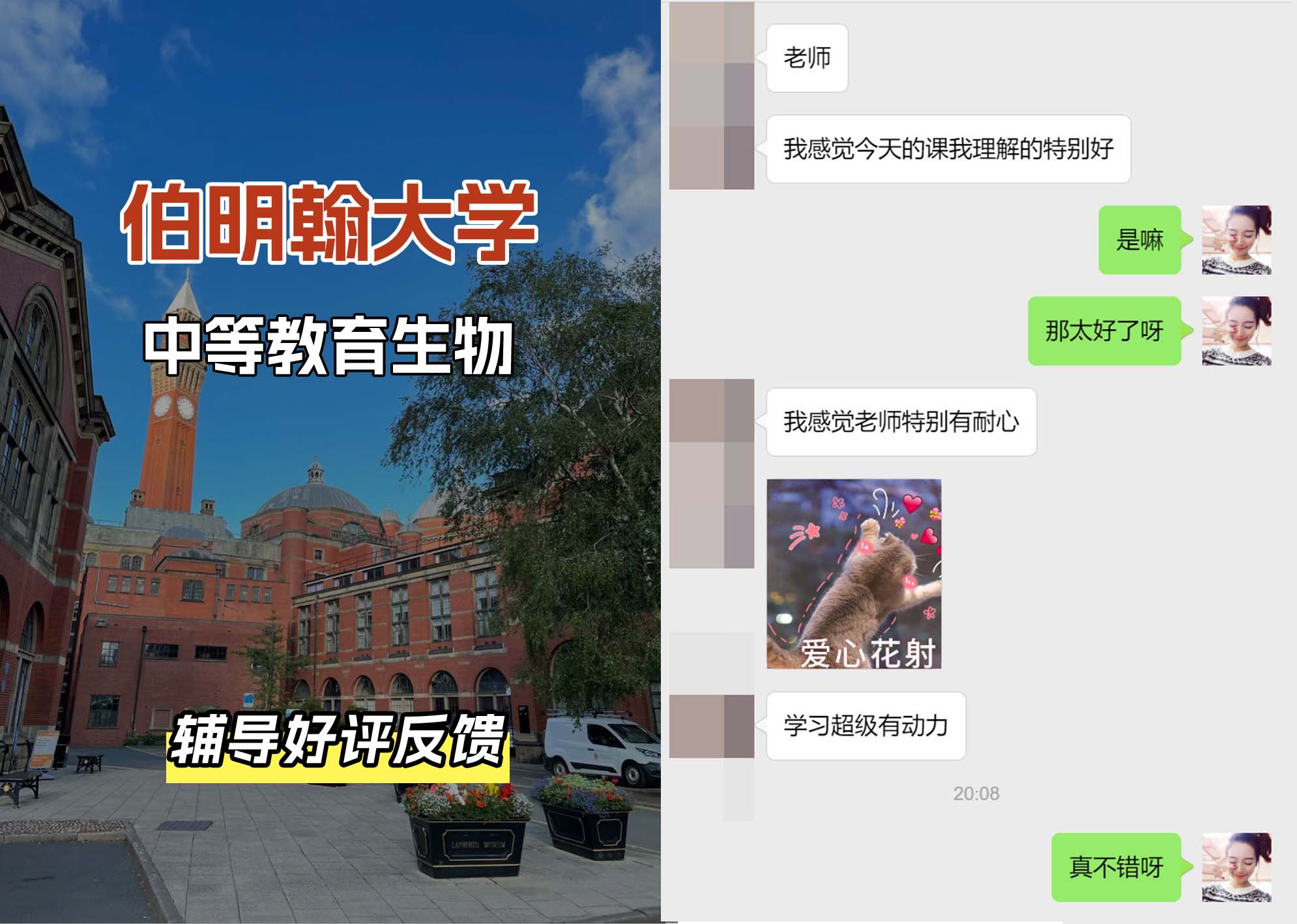 伯明翰大学伯大中等教育生物辅导好评反馈