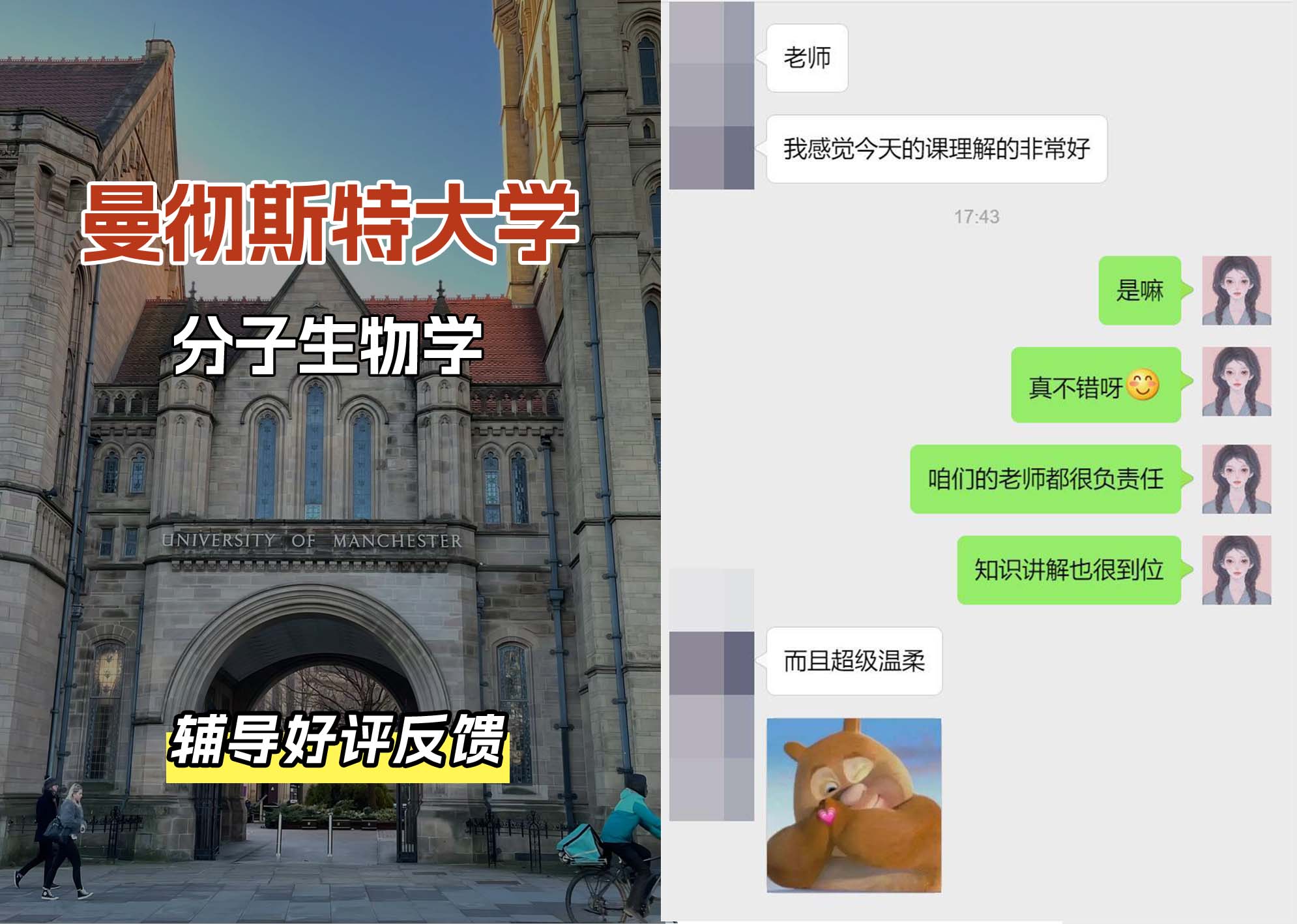 曼彻斯特大学曼大分子生物学辅导好评反馈