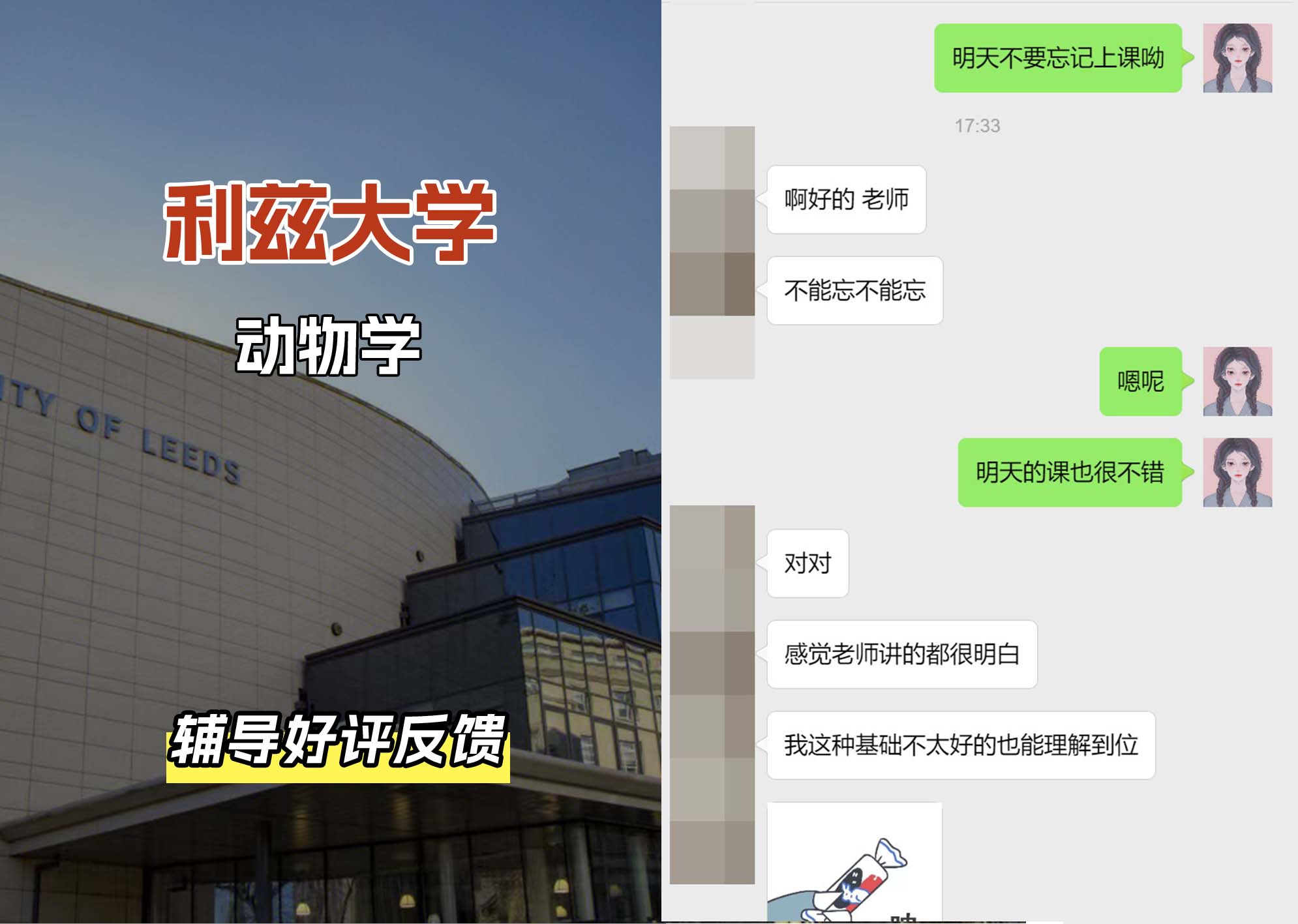利兹大学leeds动物学辅导好评反馈