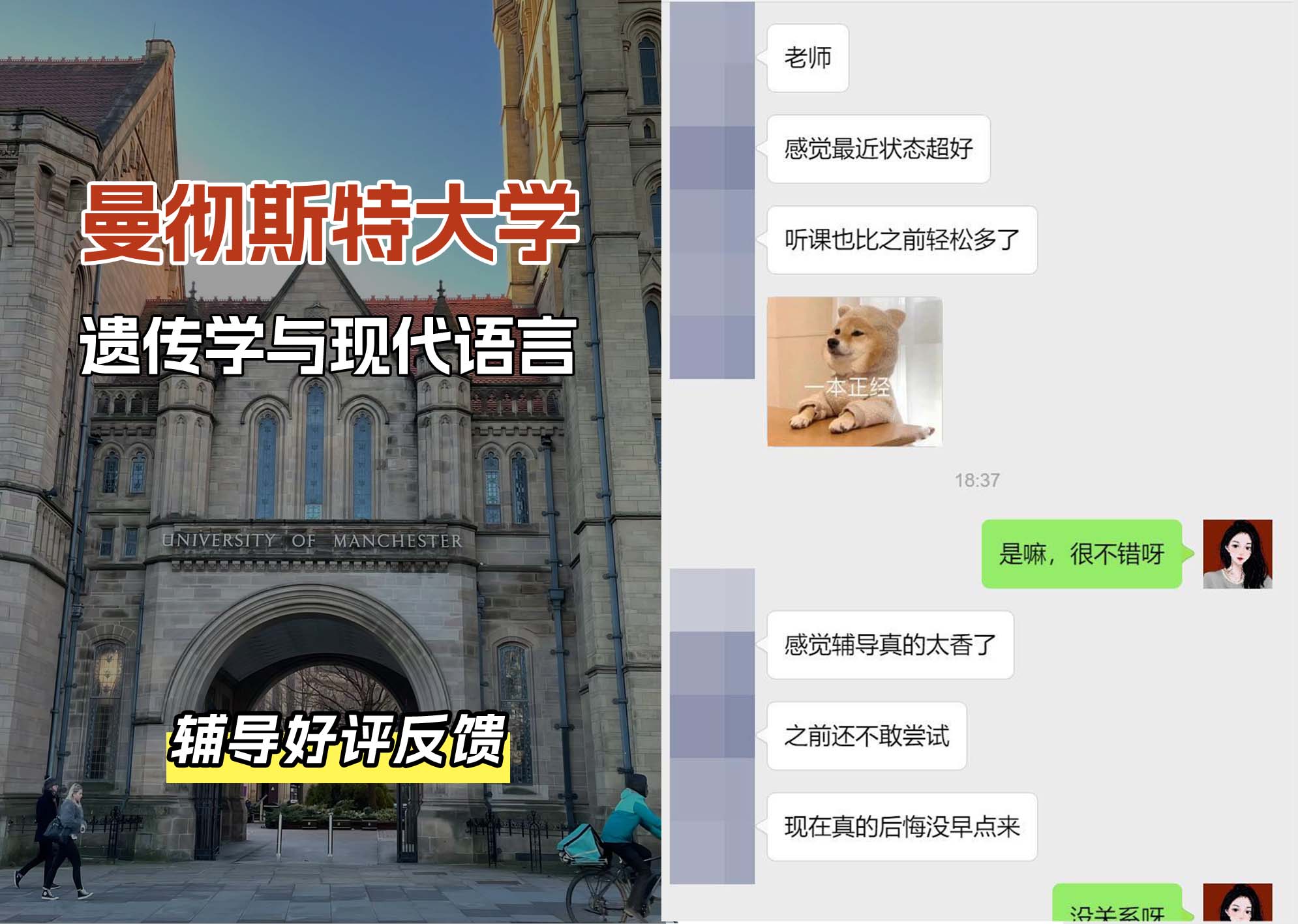 曼彻斯特大学曼大遗传学与现代语言辅导好评反馈