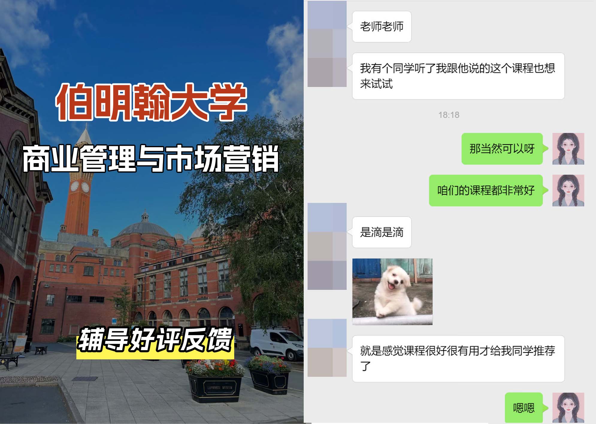 伯明翰大学伯大商业管理与市场营销辅导好评反馈