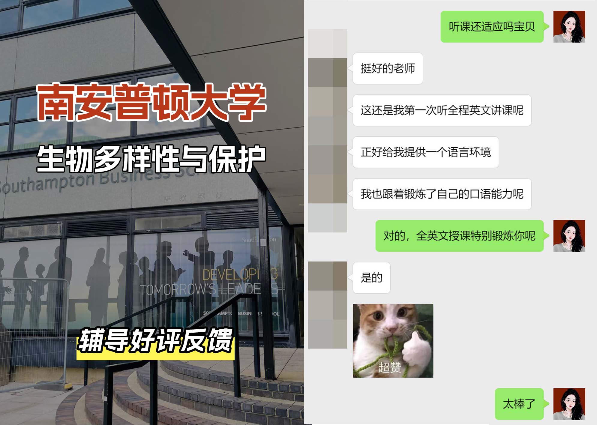 南安普顿大学南安生物多样性与保护辅导好评反馈