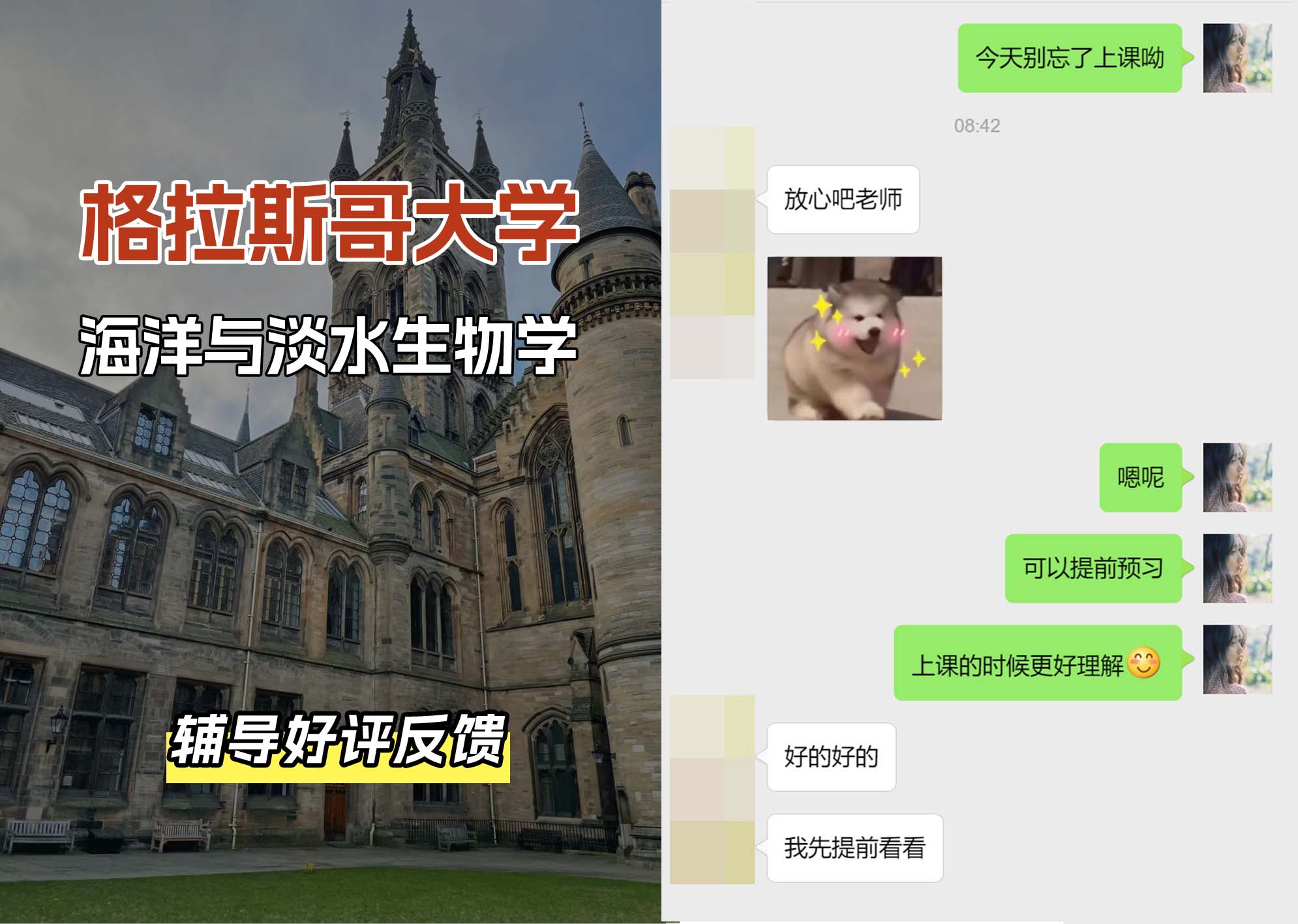 格拉斯哥大学格大海洋与淡水生物学辅导好评反馈