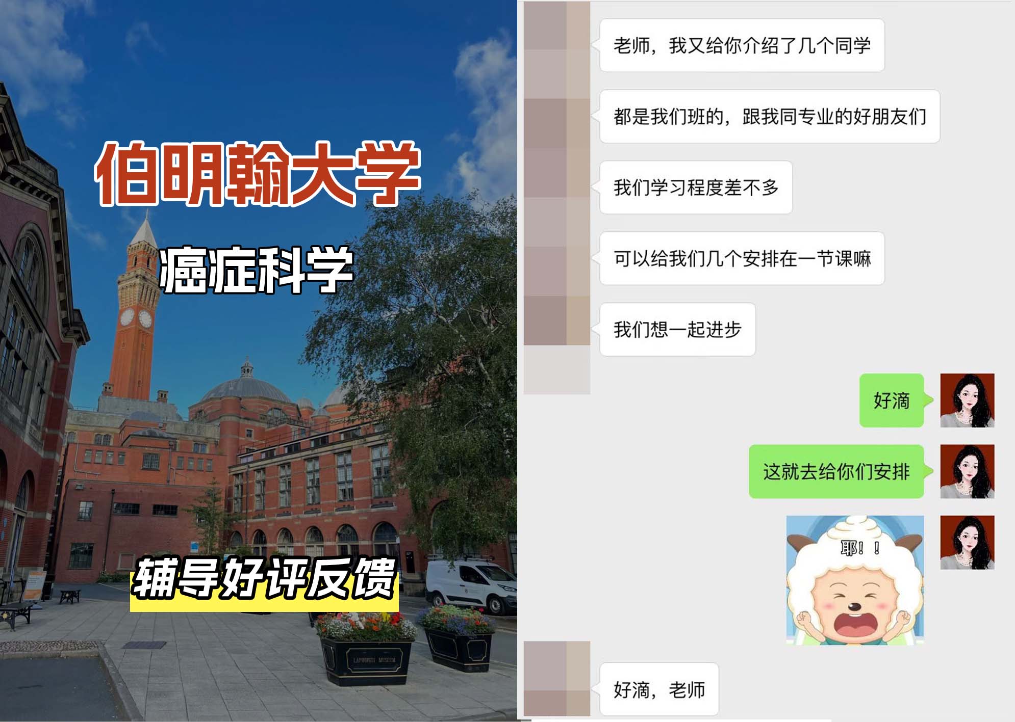 伯明翰大学伯大癌症科学辅导好评反馈