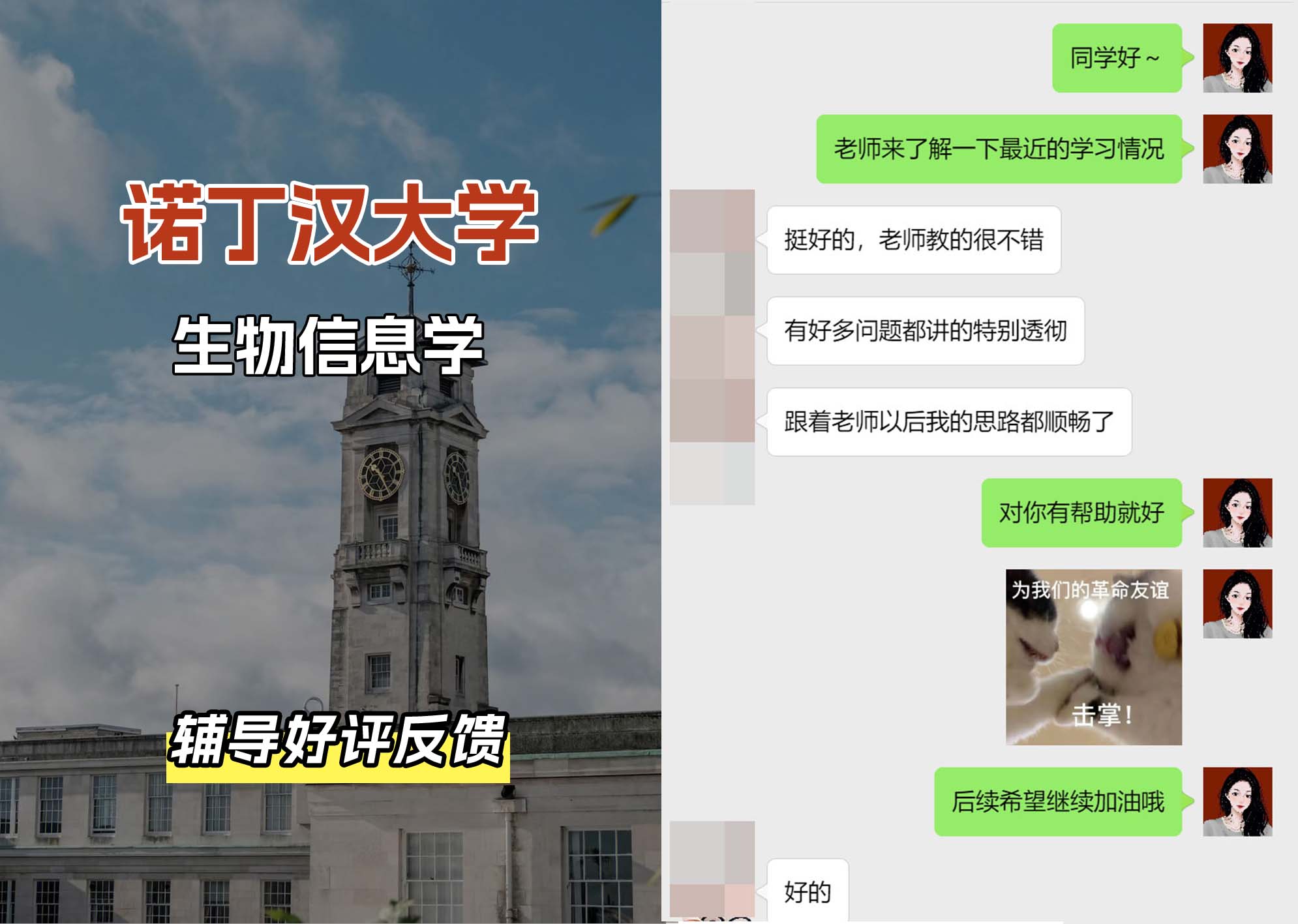 诺丁汉大学诺大生物信息学辅导好评反馈