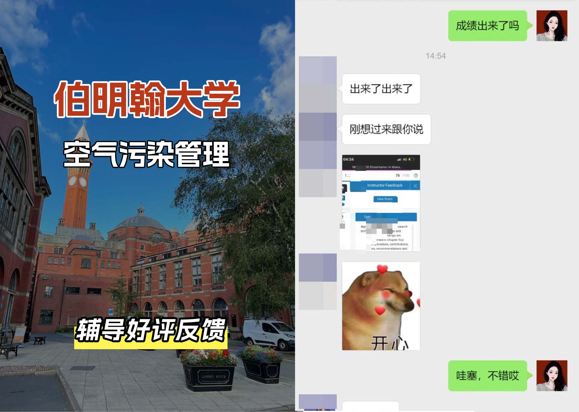 伯明翰大学伯大空气污染管理辅导好评反馈
