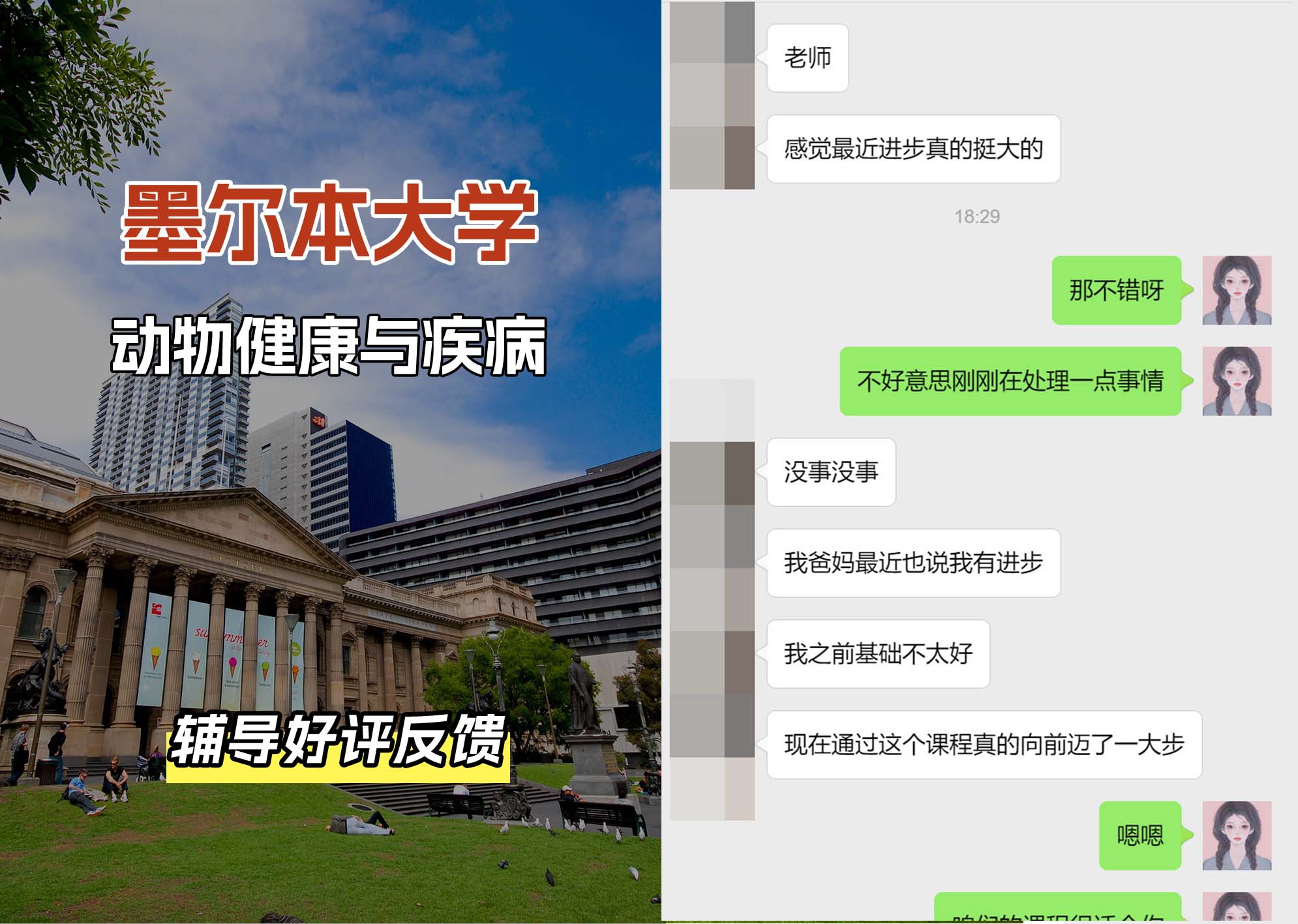 墨尔本大学墨大动物健康与疾病辅导好评反馈