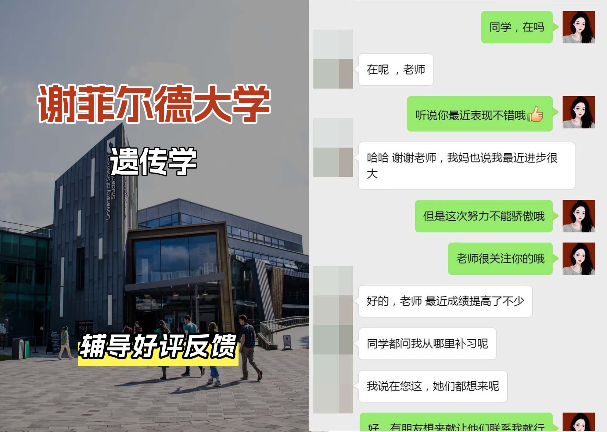 谢菲尔德大学谢大遗传学辅导好评反馈