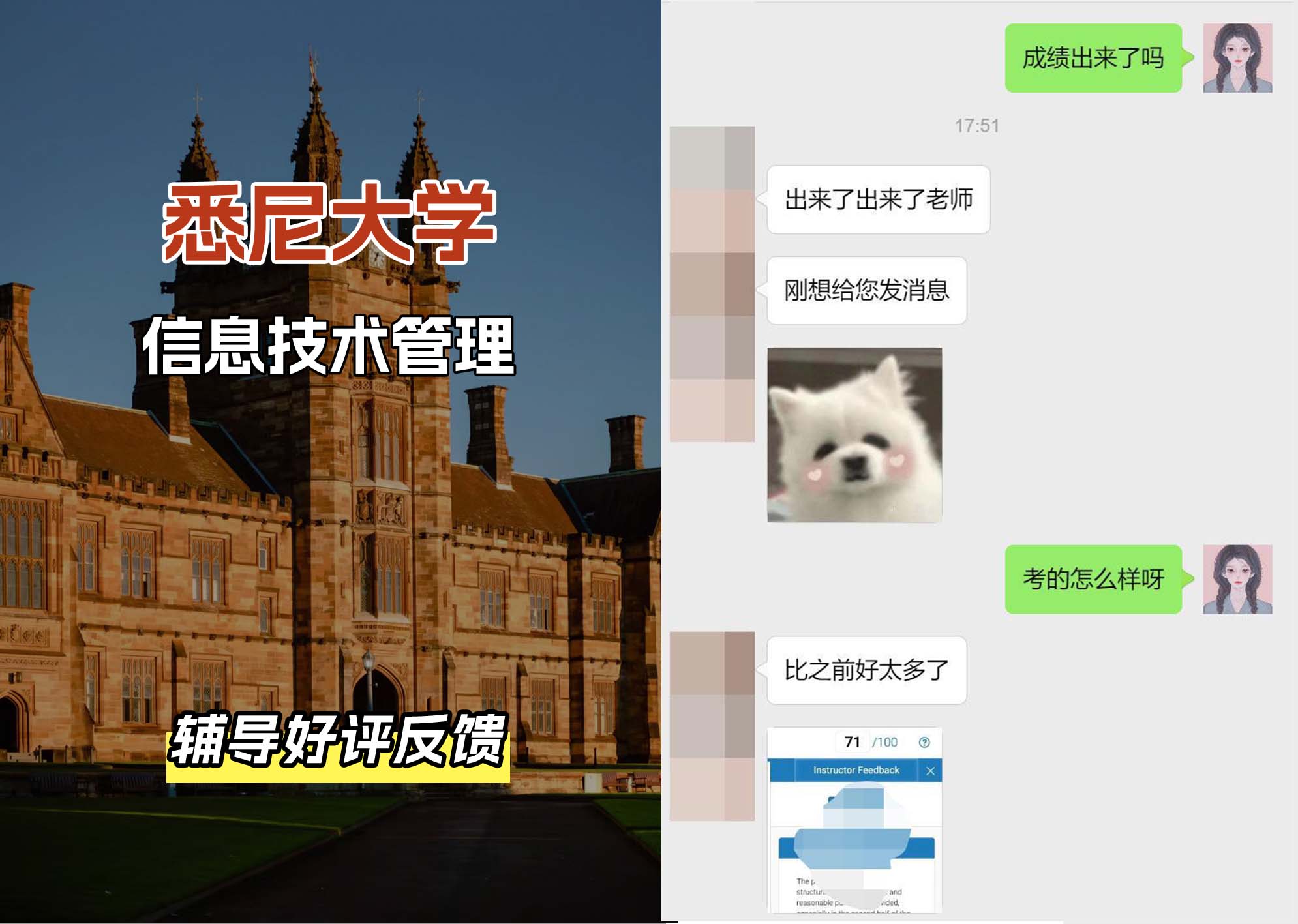悉尼大学USYD信息技术管理辅导好评反馈
