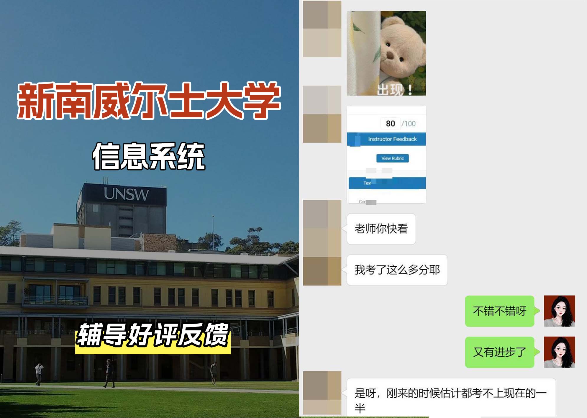 新南威尔士大学UNSW信息系统辅导好评反馈