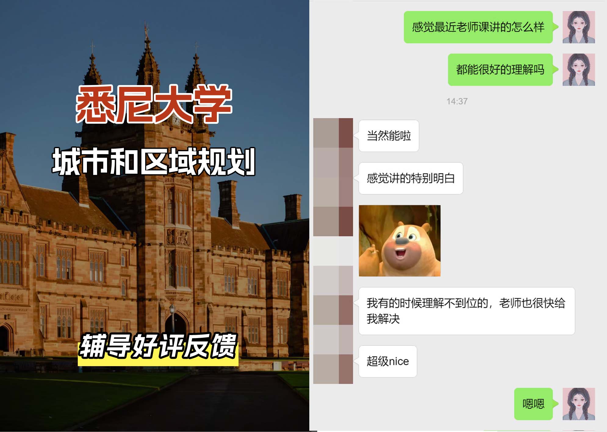 悉尼大学USYD城市和区域规划辅导好评反馈