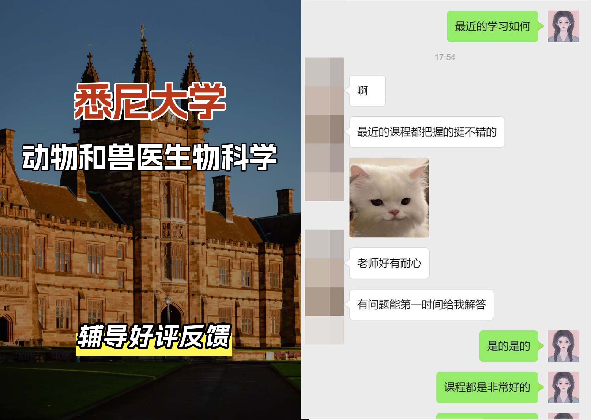 悉尼大学USYD动物和兽医生物科学辅导好评反馈