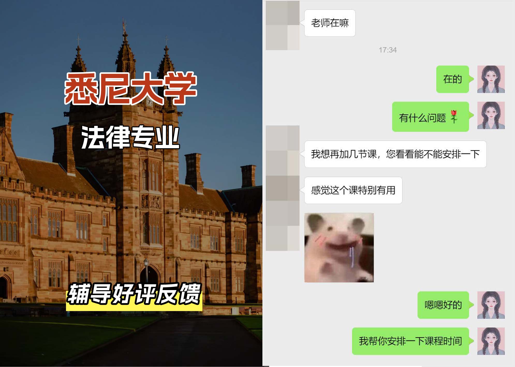 悉尼大学USYD法律专业辅导好评反馈