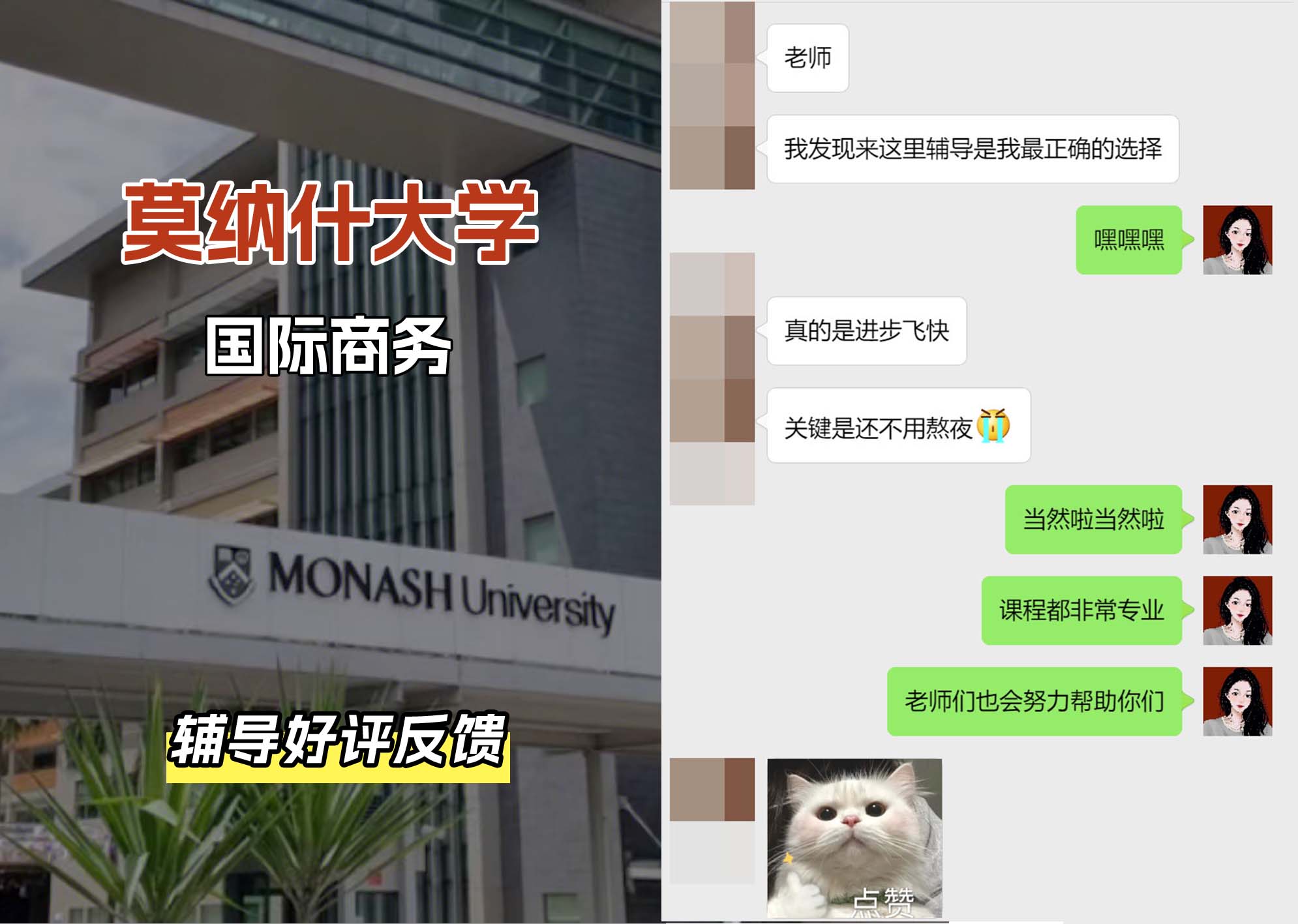 莫纳什大学Monash国际商务辅导好评反馈