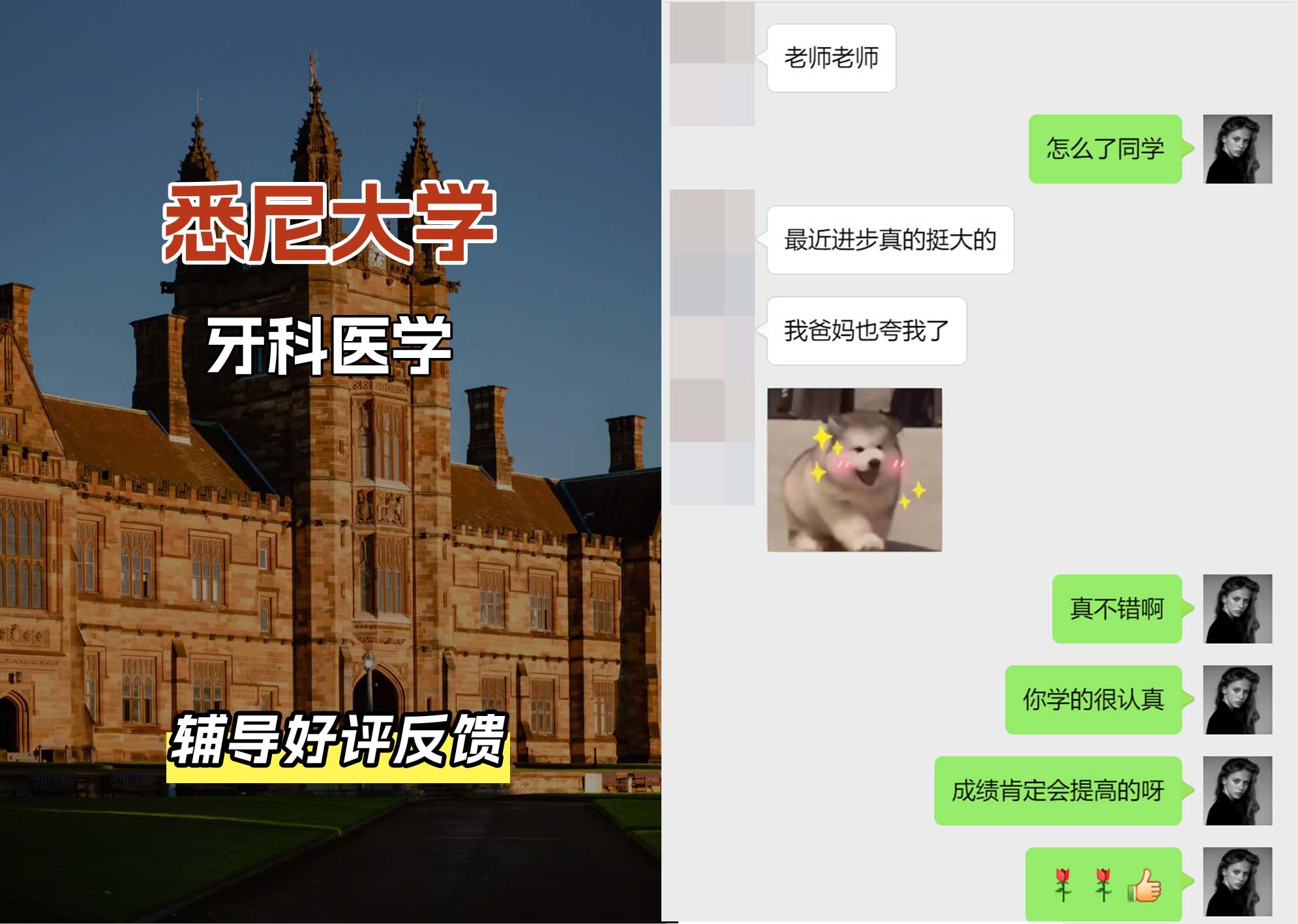 悉尼大学USYD牙科医学辅导好评反馈
