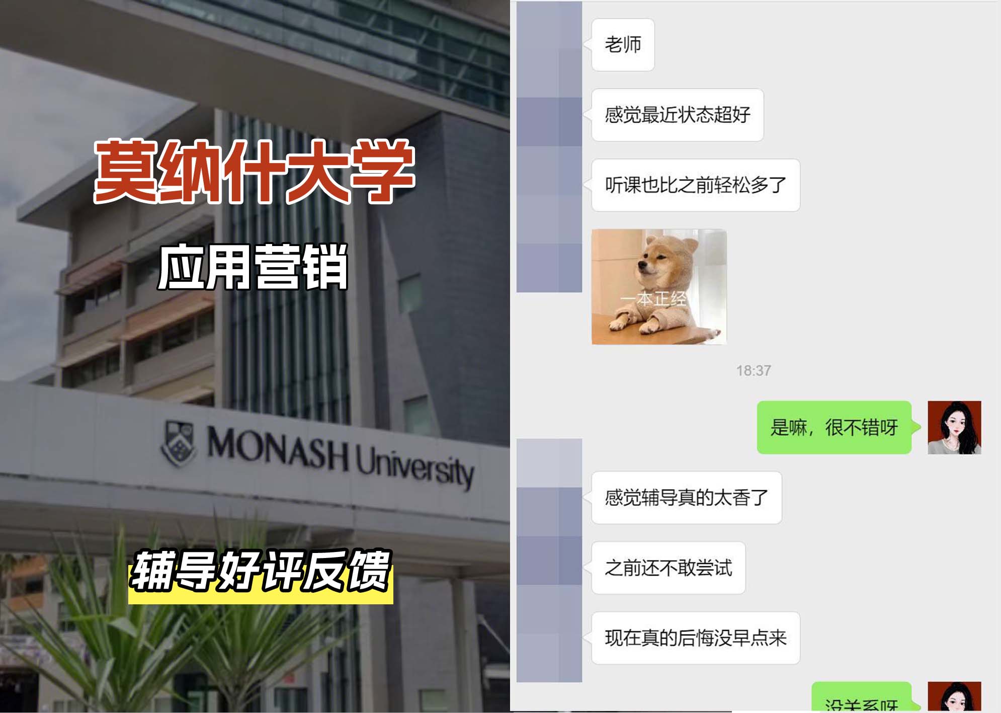 莫纳什大学Monash应用营销辅导好评反馈