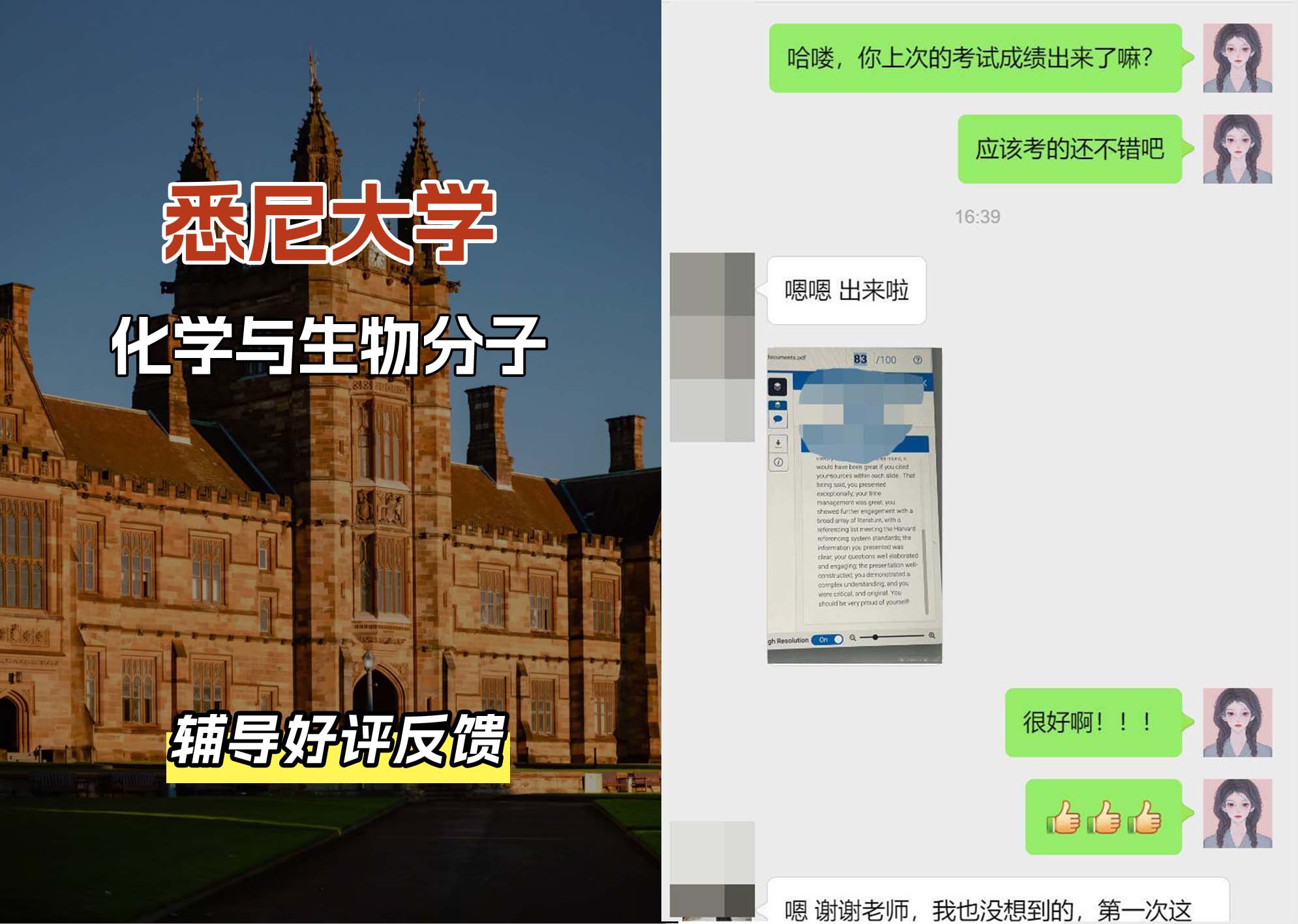 悉尼大学USYD化学与生物分子辅导好评反馈