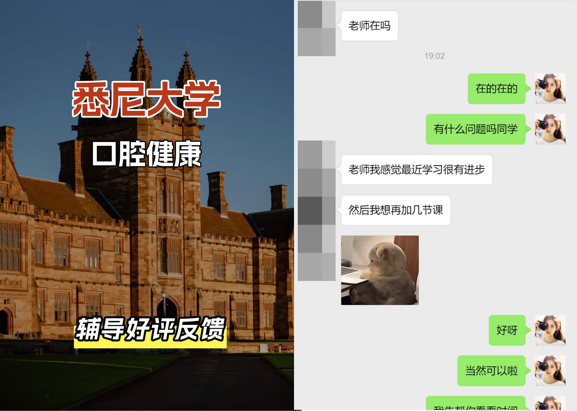 悉尼大学USYD口腔健康辅导好评反馈