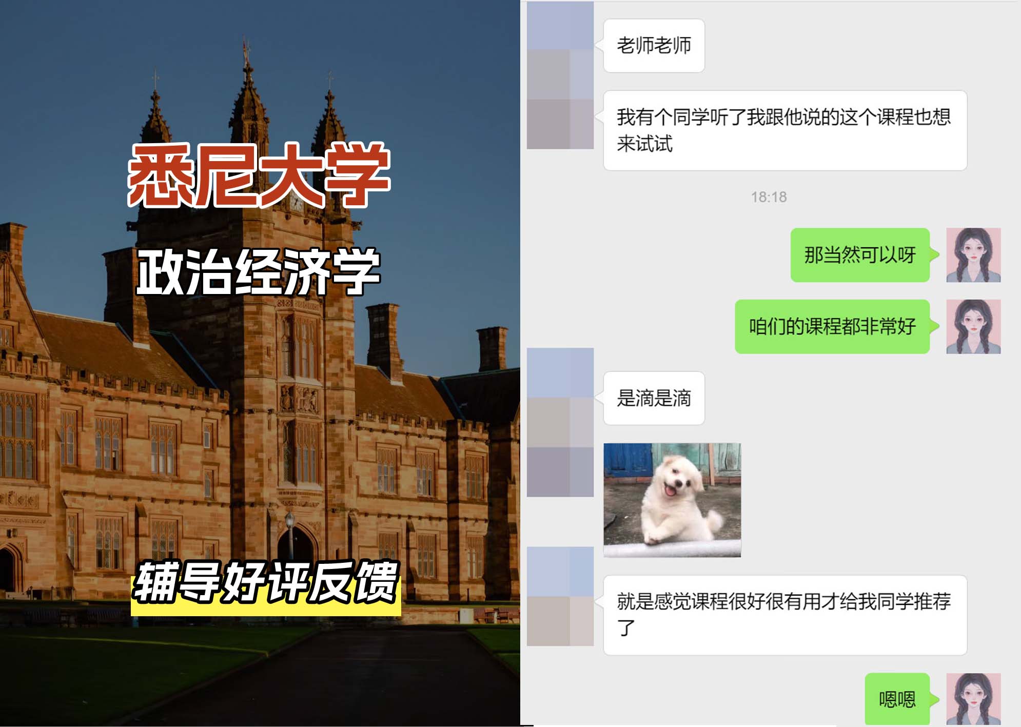 悉尼大学USYD政治经济学辅导好评反馈