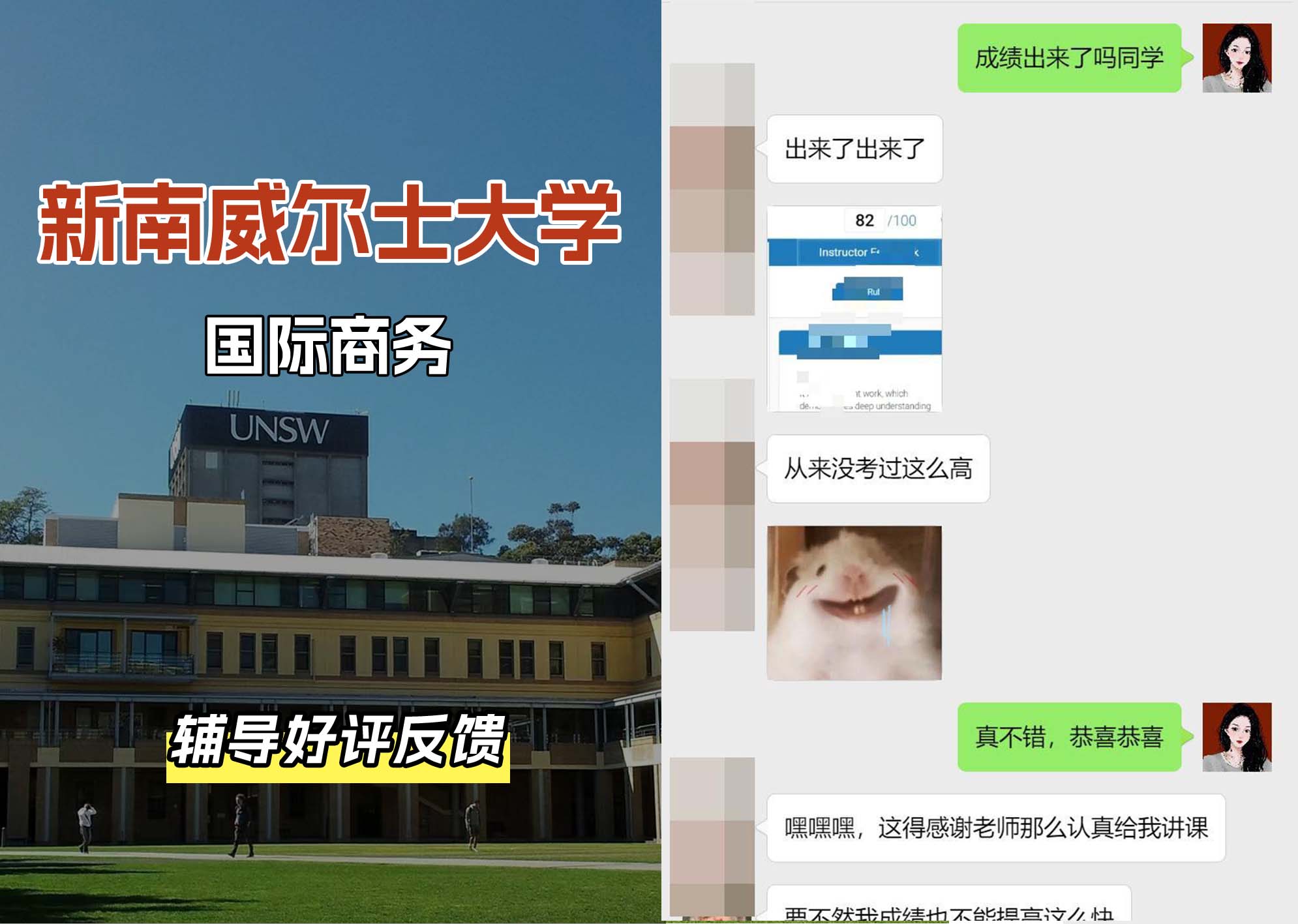 新南威尔士大学UNSW国际商务辅导好评反馈