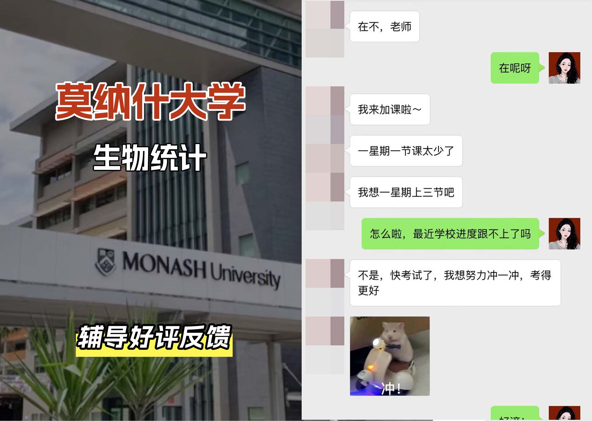 莫纳什大学Monash生物统计辅导好评反馈
