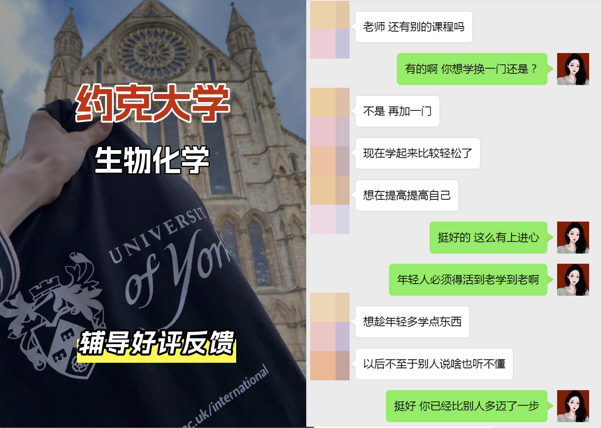 约克大学UOY生物化学辅导好评反馈