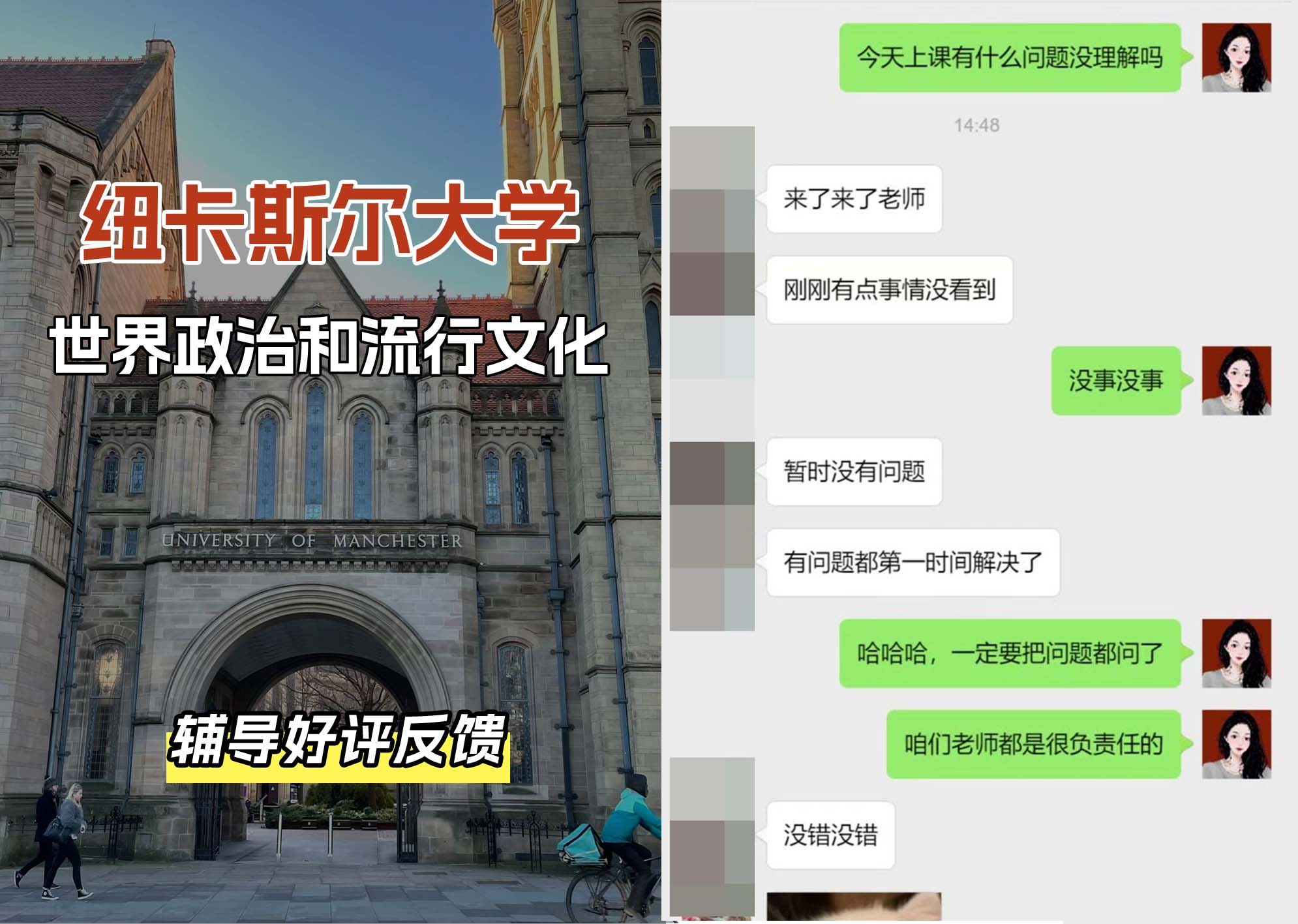 纽卡斯尔大学纽大世界政治和流行文化辅导好评反馈