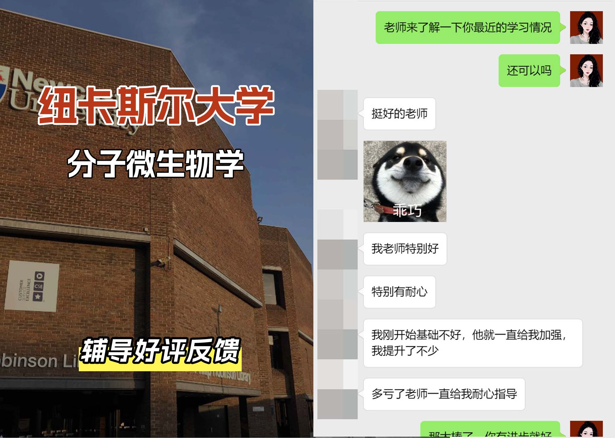 纽卡斯尔大学纽大分子微生物学辅导好评反馈