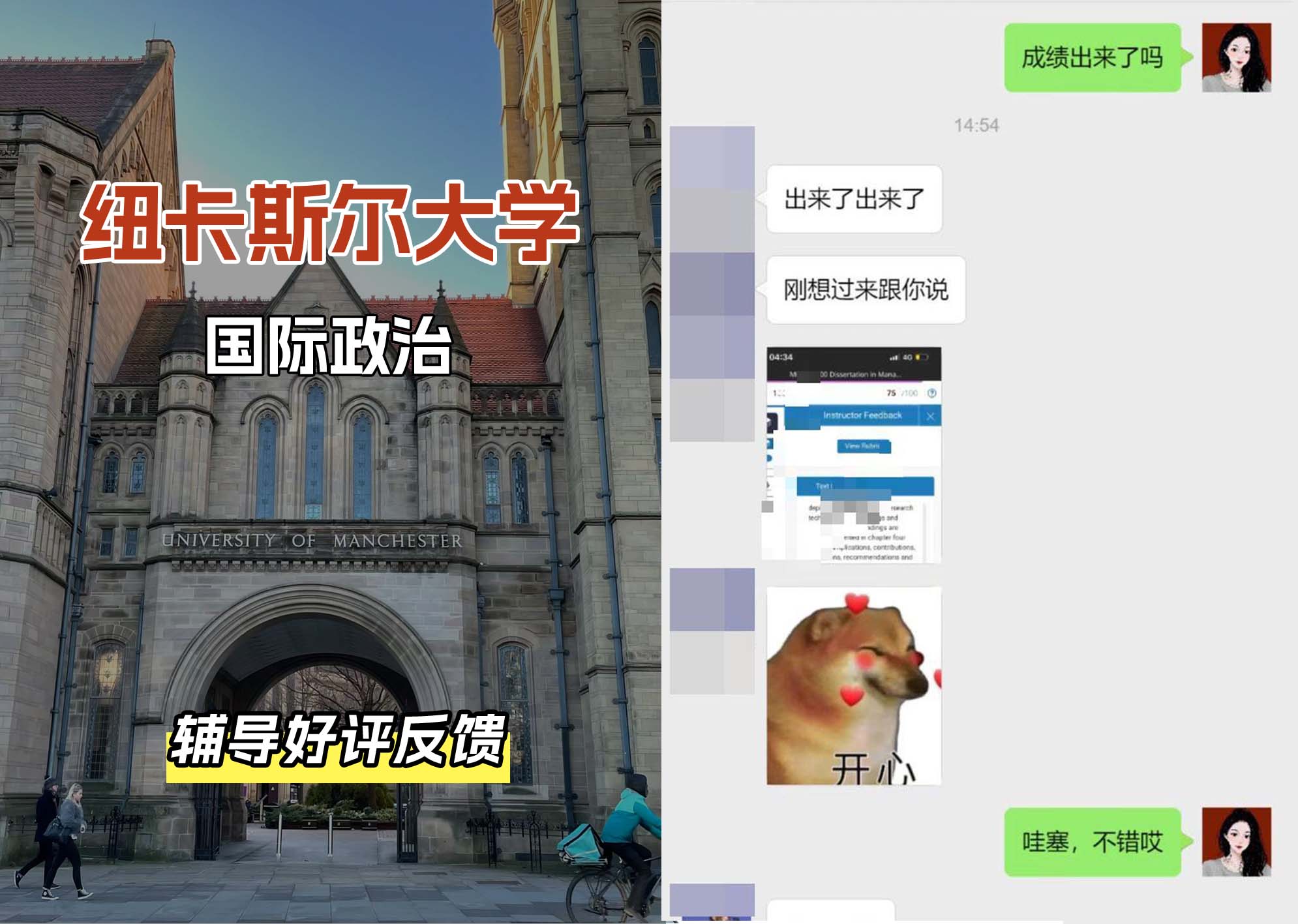 纽卡斯尔大学纽大国际政治辅导好评反馈
