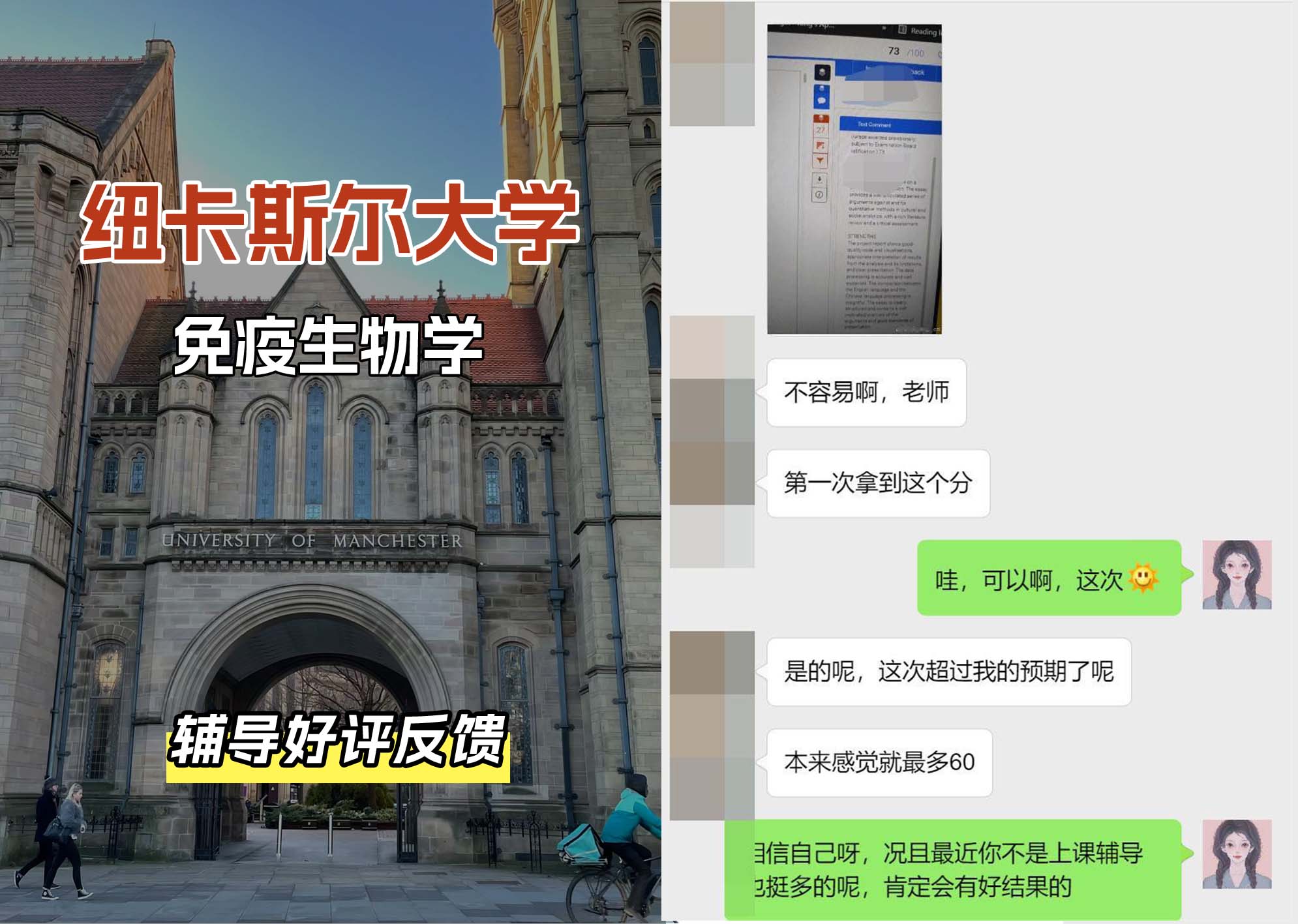 纽卡斯尔大学纽大免疫生物学辅导好评反馈