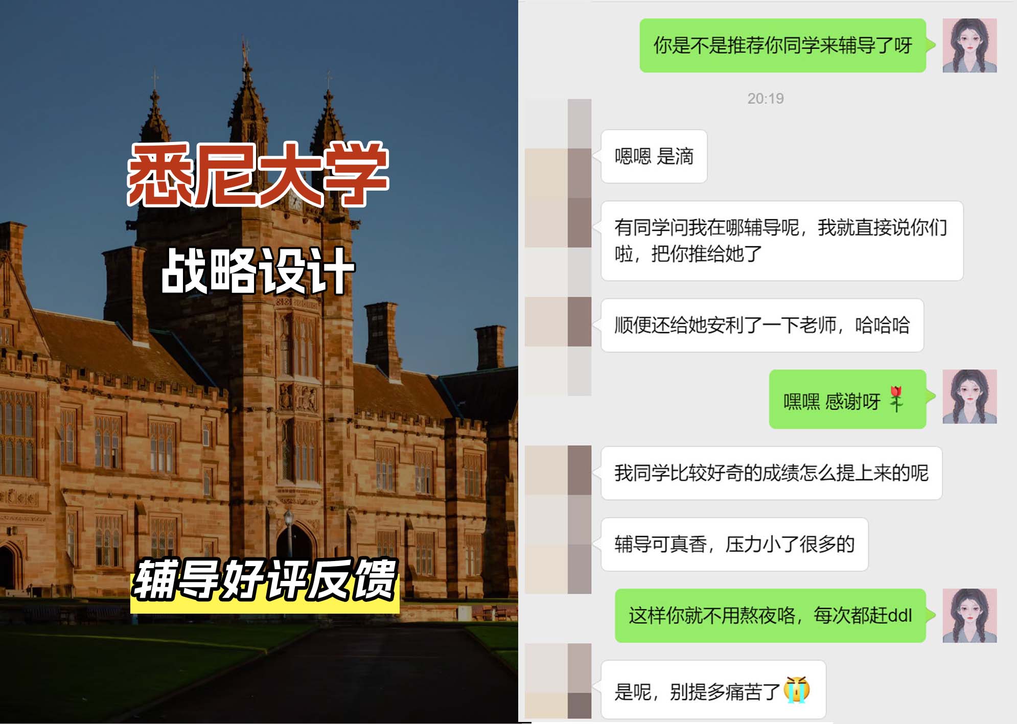悉尼大学USYD战略设计辅导好评反馈